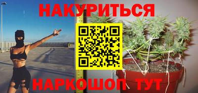 гидра Камышлов