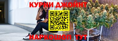 гидра Камышлов