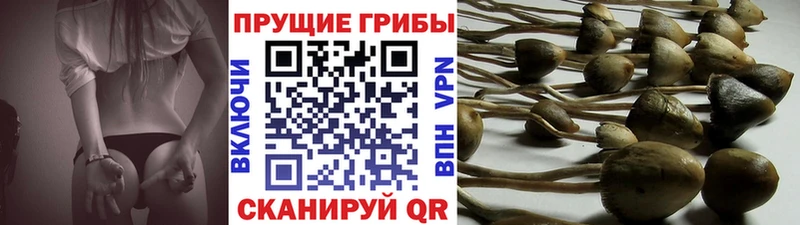 маркетплейс наркотические препараты  Протвино  Псилоцибиновые грибы мухоморы  цена  