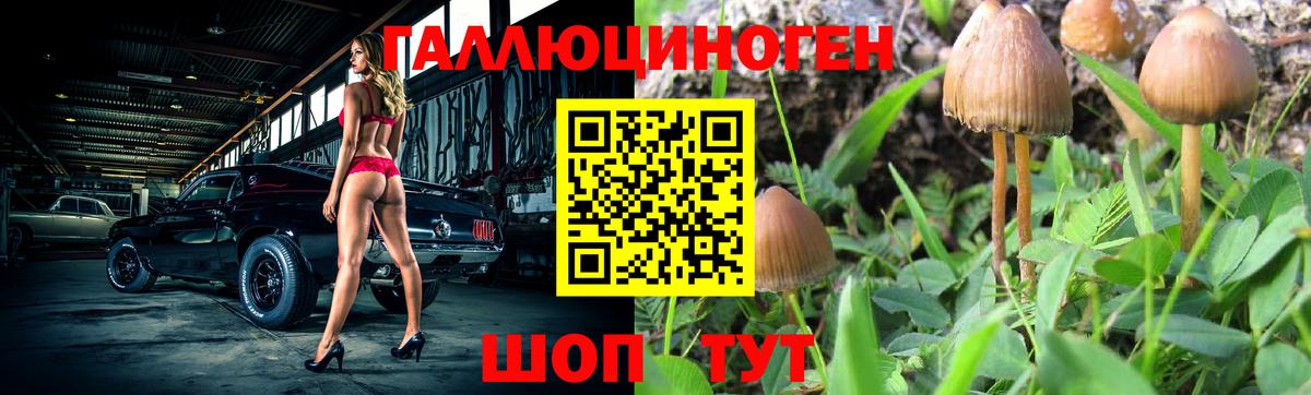 Галлюциногенные грибы Magic Shrooms  Вход с VPN  Протвино 