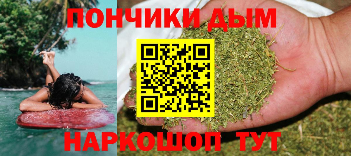 Каннабис индика Протвино